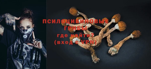 гашишное масло Новодвинск