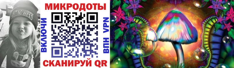 Псилоцибиновые грибы Psilocybe Балаково