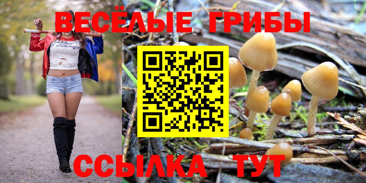 Балаково  Псилоцибиновые грибы MAGIC MUSHROOMS  Вход с VPN 