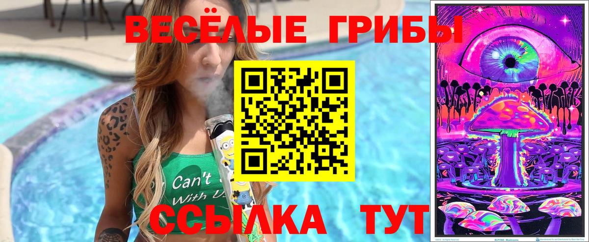 Псилоцибиновые грибы Psilocybe Балаково